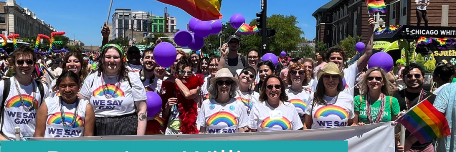 Rep. Ann Williams Celebrates Pride Parade