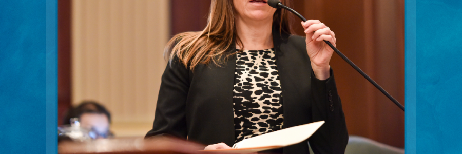 Representative Ann Williams Gives a Legislative Update Following the 2022 Veto Session