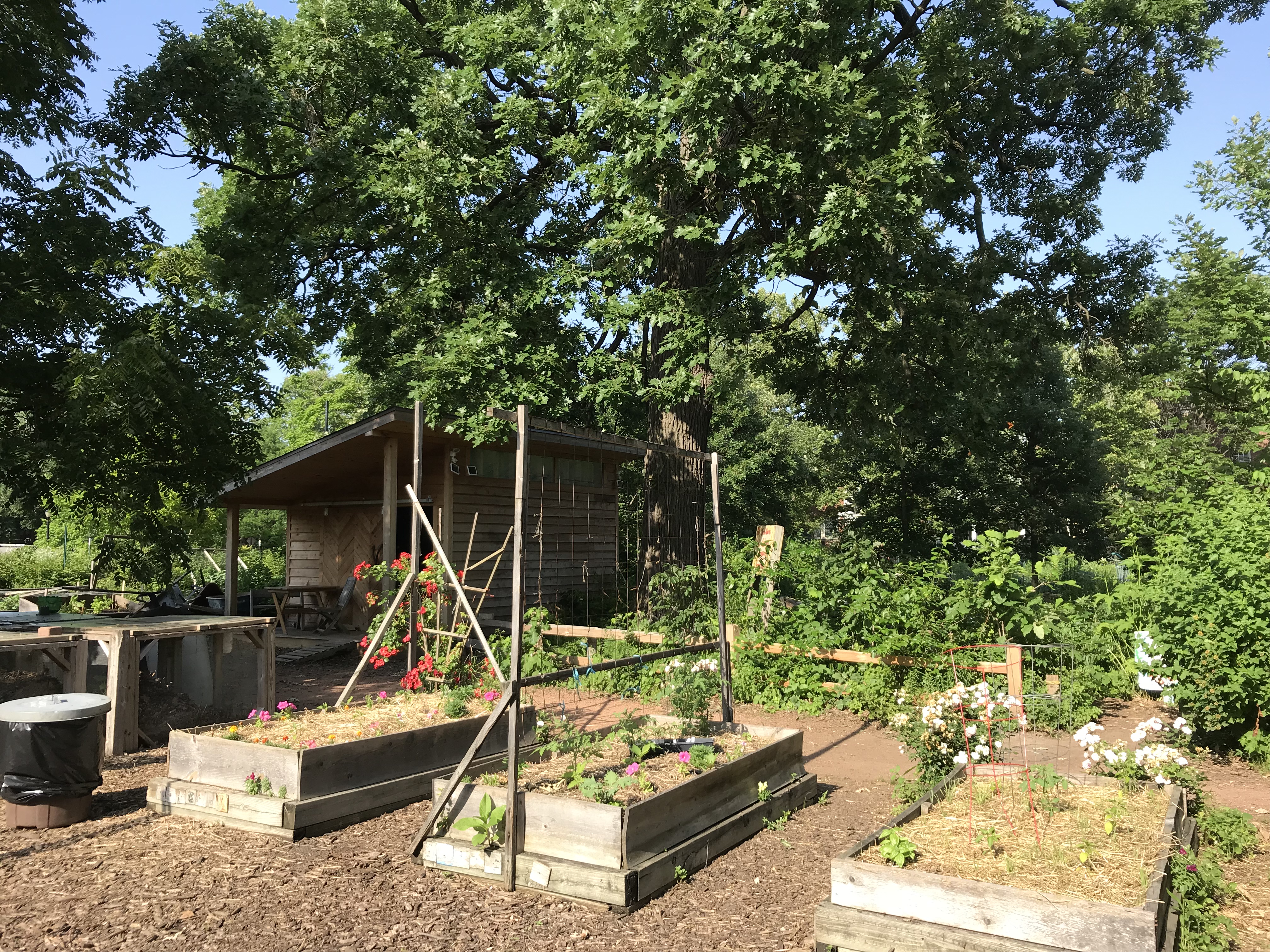 Waters Organic School and Community Garden