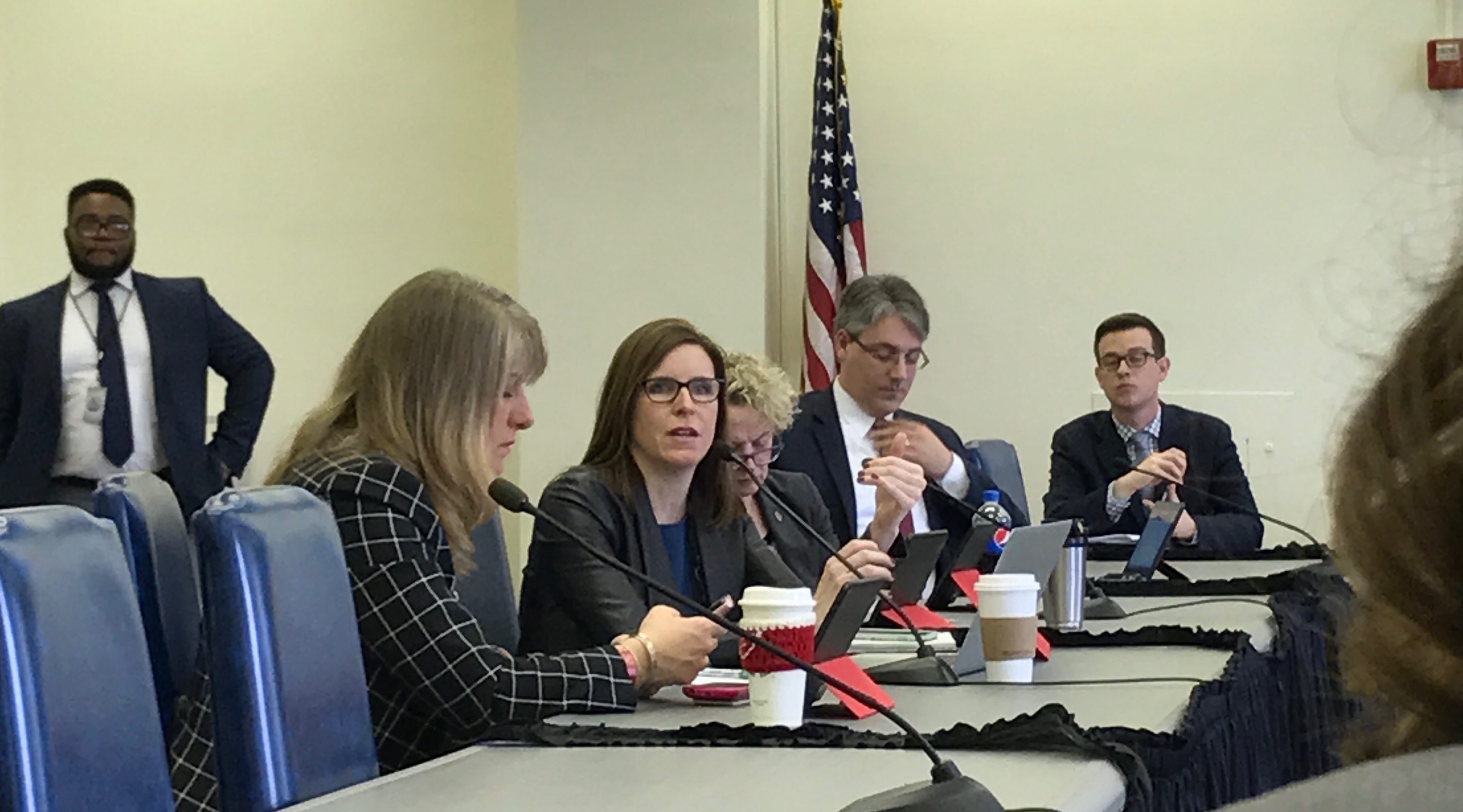 Ann Williams Appointed Chair of Energy & Environment Committee