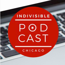 Rep. Ann Williams Speaks on Indivisible Chicago Podcast