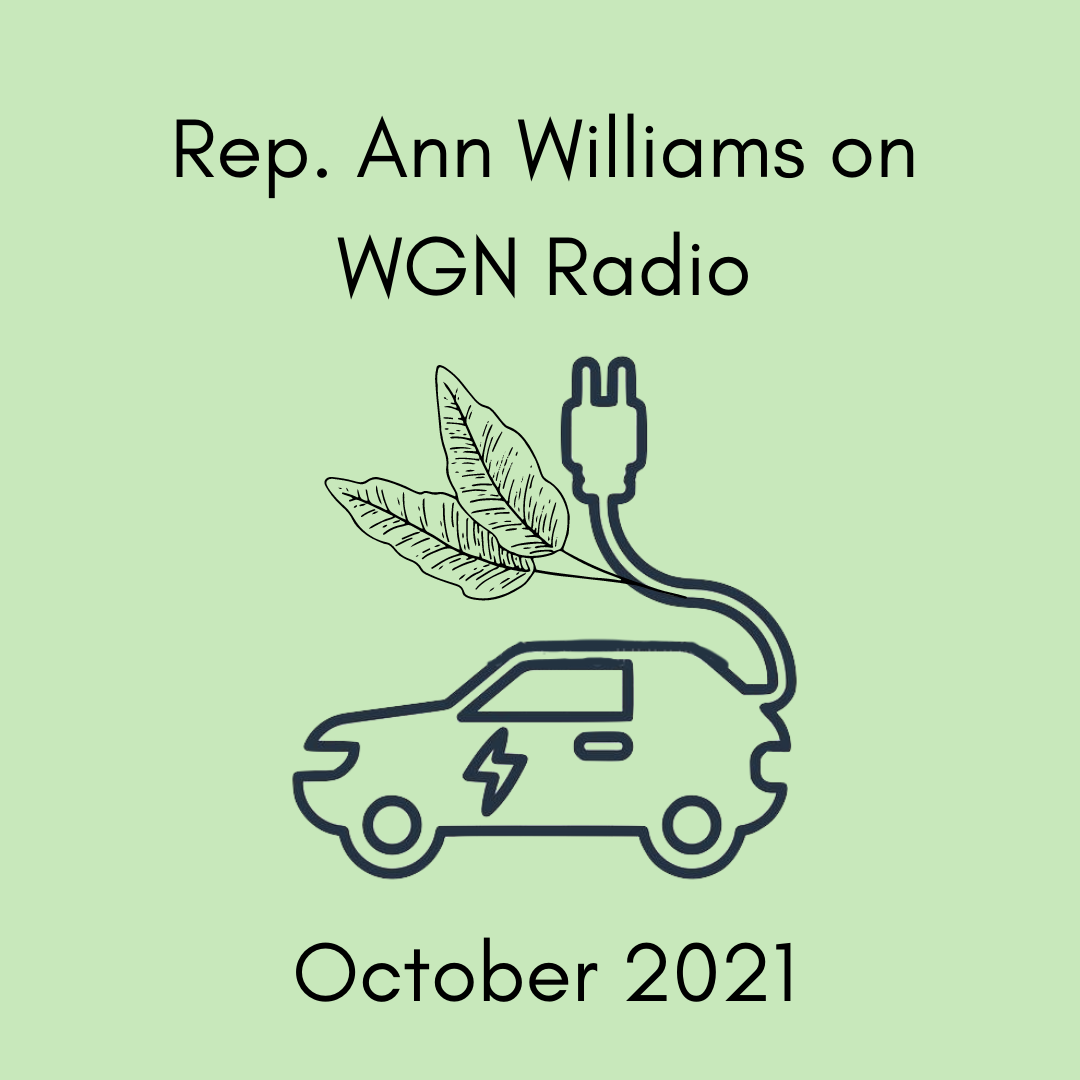 Rep. Ann Williams talks about EVs on WGN Radio