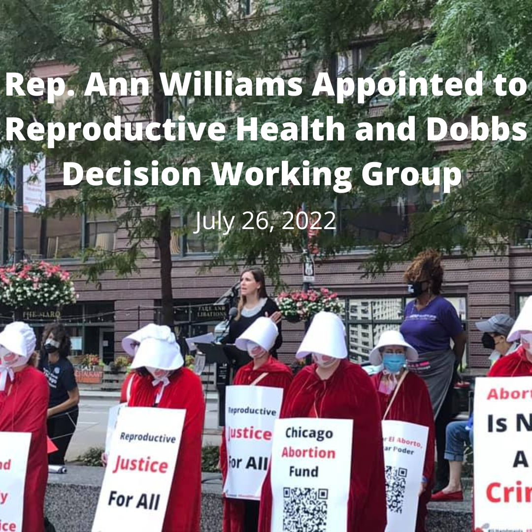 Rep. Ann Williams Appointed to Reproductive Health and Dobbs Decision Working Group