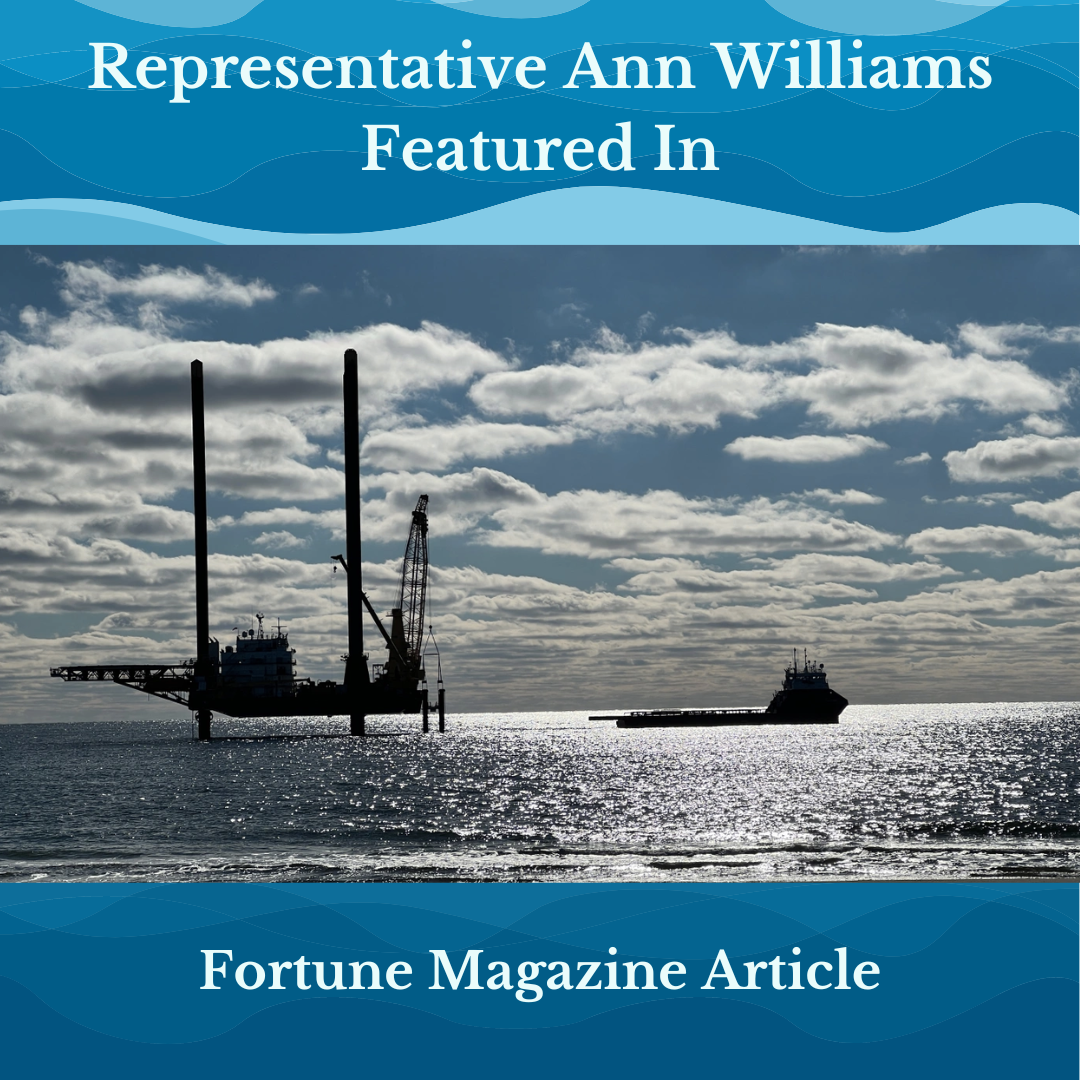 Representative Ann Williams Featured in Fortune Magazine Article